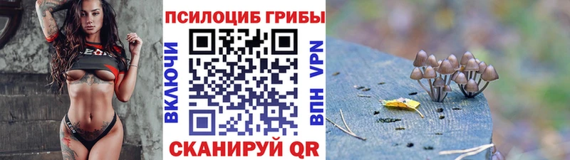 кракен ССЫЛКА Заринск Псилоцибиновые грибы Psilocybe